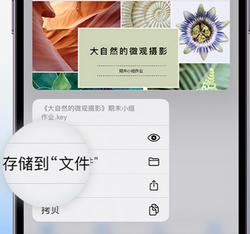 双峰apple维修中心分享iPhone文件应用中存储和找到下载文件