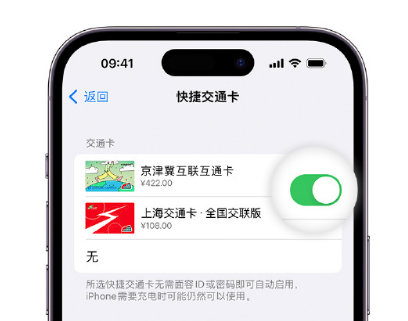 双峰apple维修点分享iPhone上更换Apple Pay快捷交通卡手绘卡面 