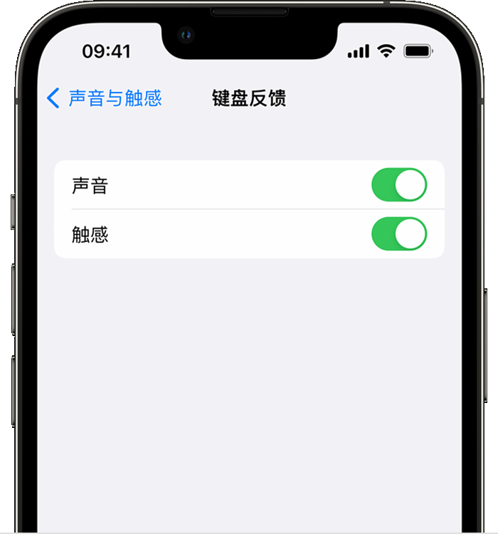 双峰苹果14维修店分享如何在 iPhone 14 机型中使用触感键盘 